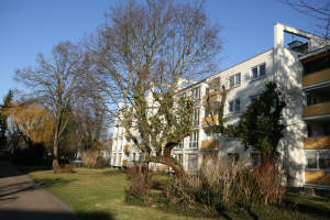 Bild3