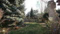 Bild4