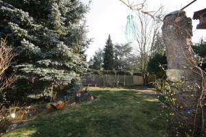 Bild4