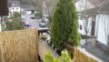 Bild1