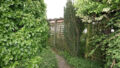 Bild2