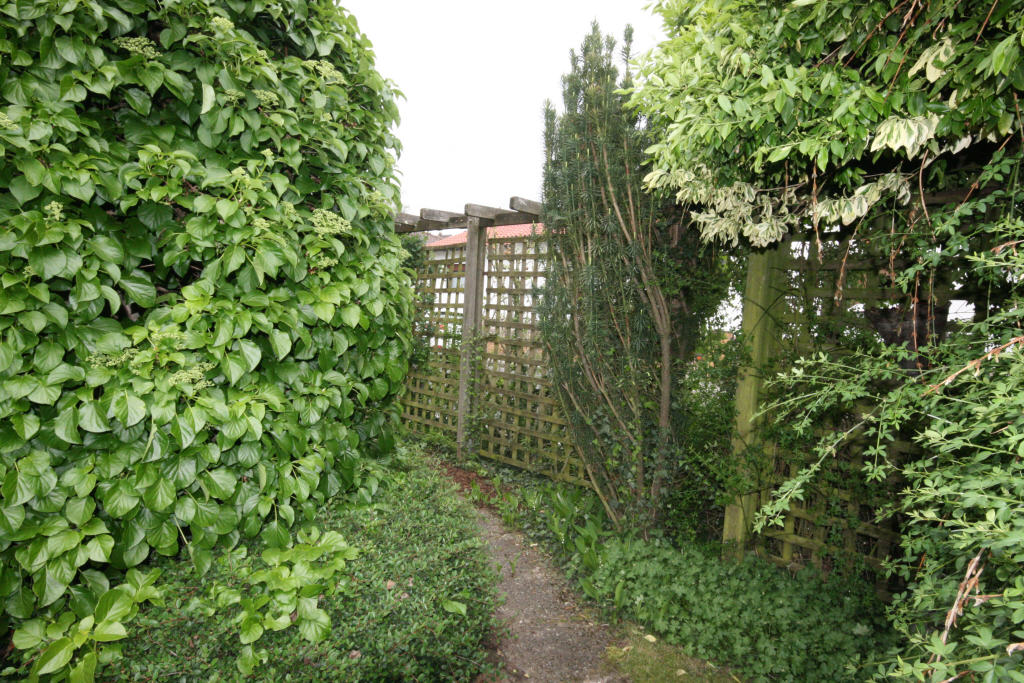 Bild2