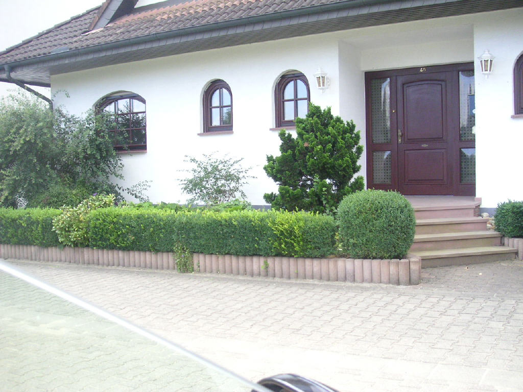 Bild1