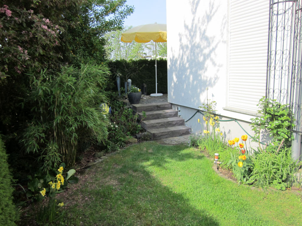 Bild6