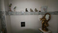 Bild5