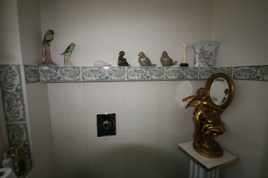 Bild5