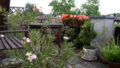 Bild2