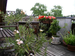 Bild2