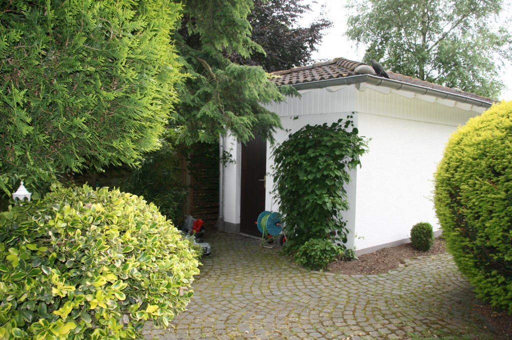 Bild4