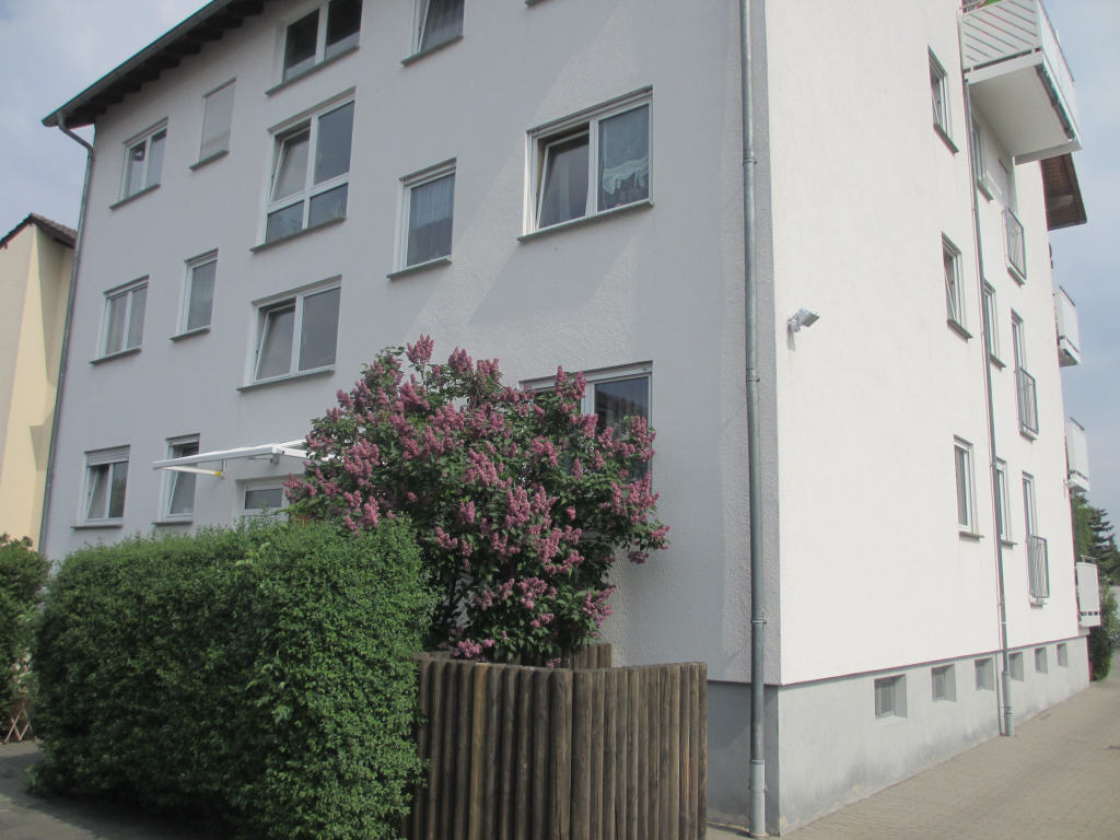 Bild1