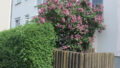 Bild5