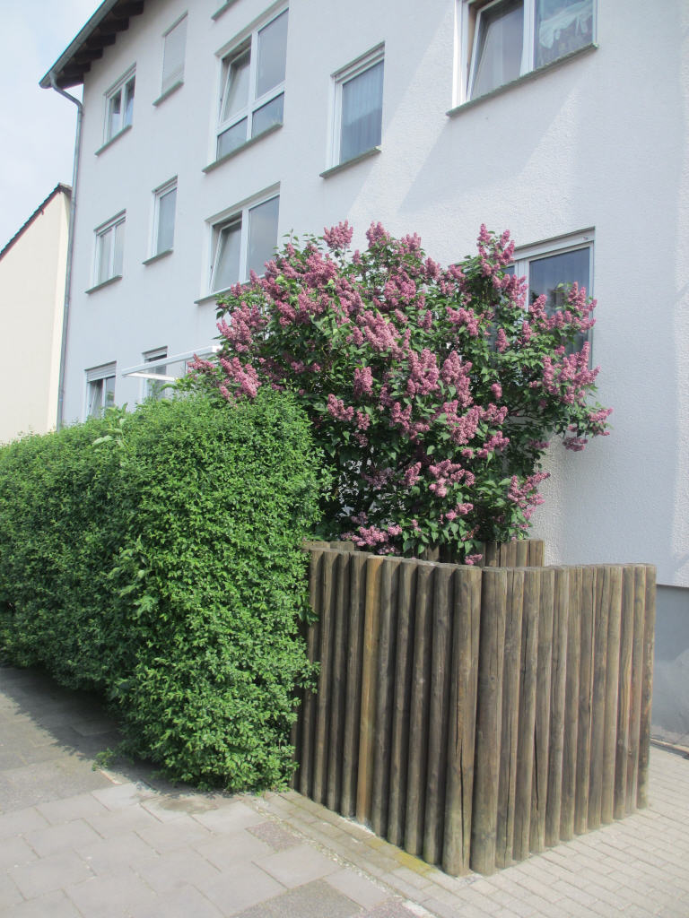 Bild5