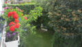 Bild6