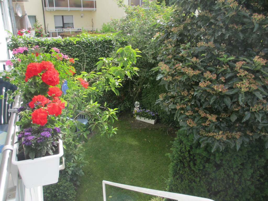 Bild6