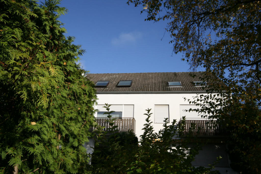 Bild1