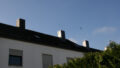 Bild3