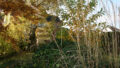 Bild6