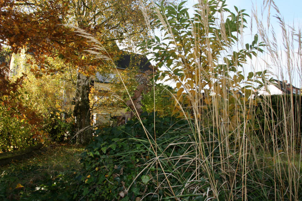 Bild6