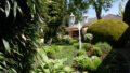 Bild6