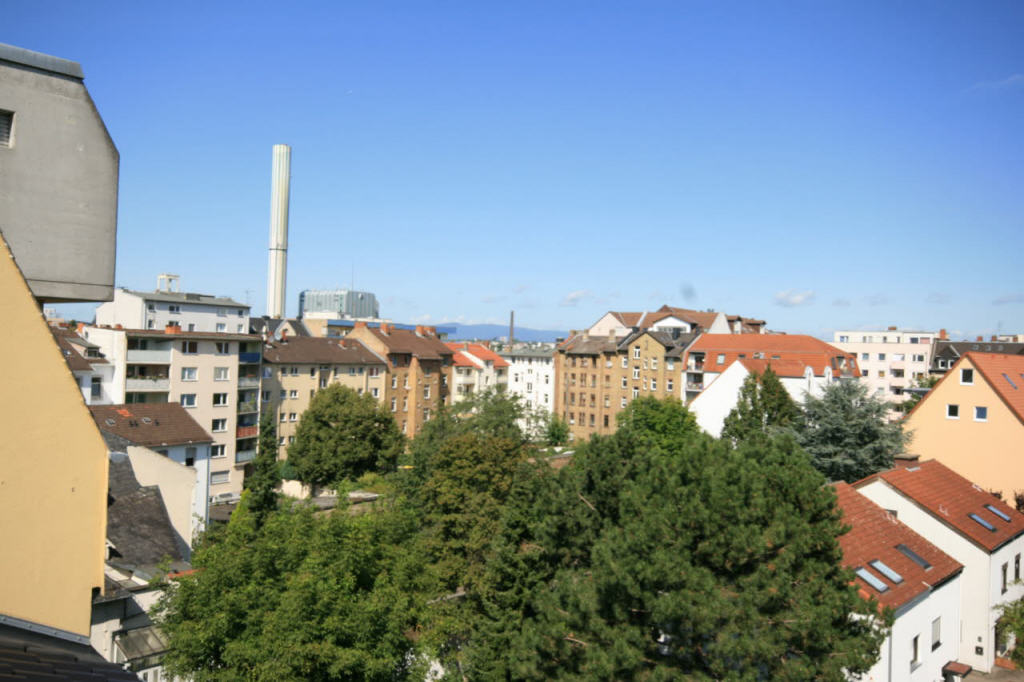 Bild1