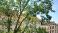 Bild4