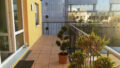 Bild6