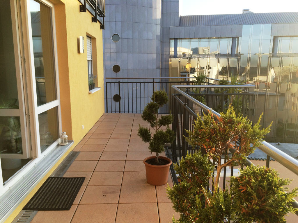Bild6