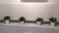 Bild11