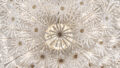 Bild12