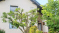 Bild1