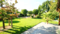 Bild1