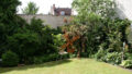 Bild3