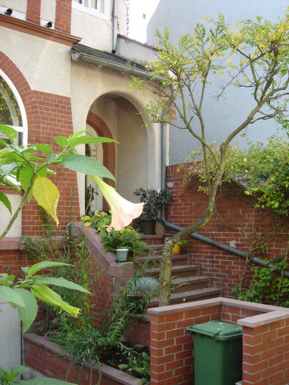 Bild1