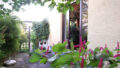 Bild2