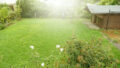 Bild12