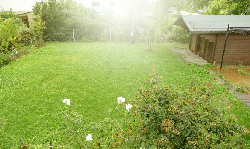 Bild12