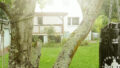 Bild13