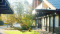 Bild1