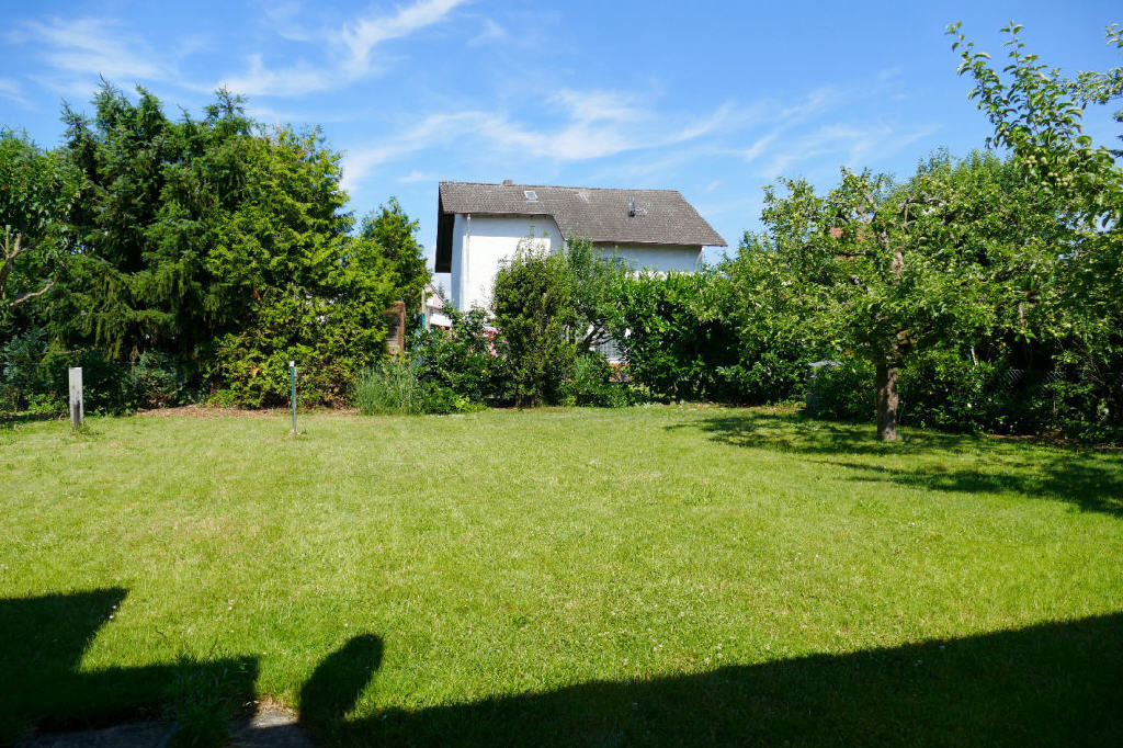 Bild1