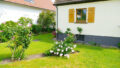 Bild2