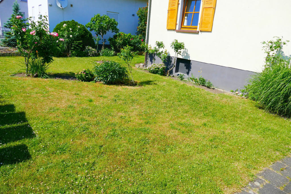 Bild3