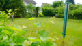 Bild4
