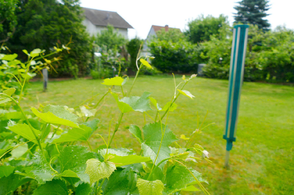 Bild4