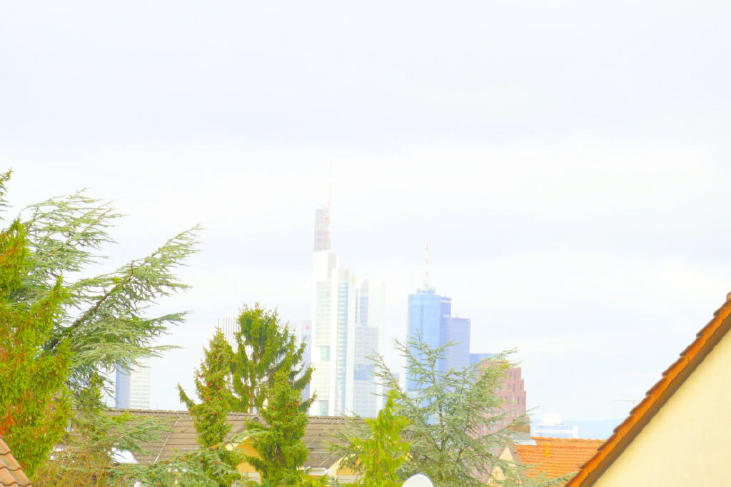 Bild3