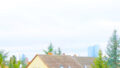 Bild4