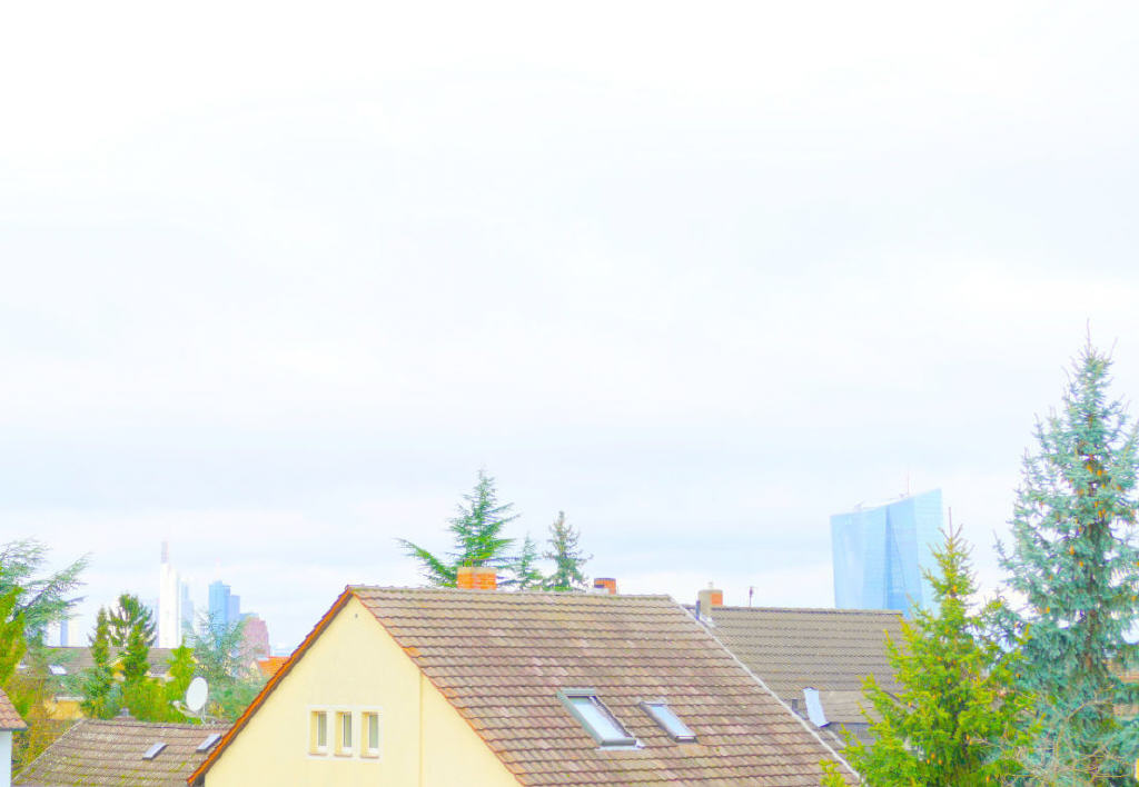 Bild4