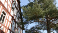 Bild9