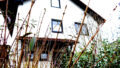Bild1