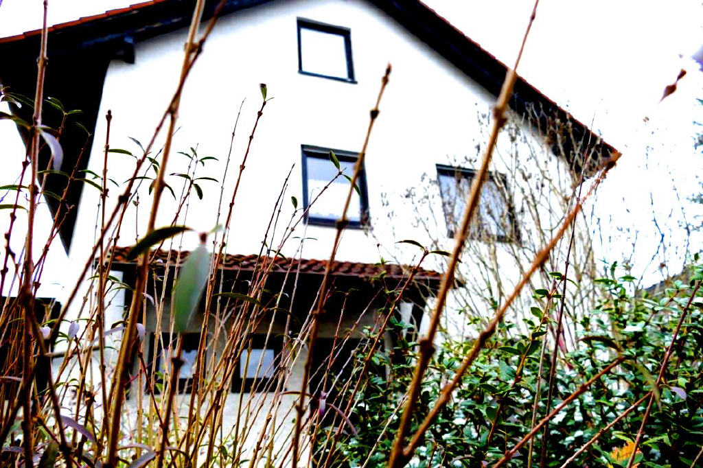 Bild1