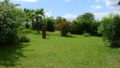 Bild5